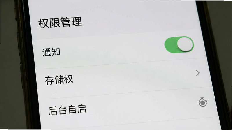 主体为手机设置权限界面截图,布局为列表形式,排版标准系统风格,风格为极简灰白,细节包含通知开关、存储权限、后台自启选项,画质清晰,干净,文字显示“权限管理”