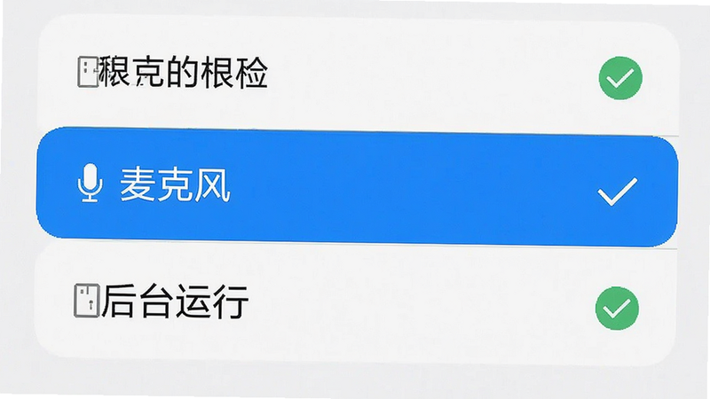 手机设置界面截图风格图,主体为权限管理列表,高亮显示“麦克风”和“后台运行”选项,布局清晰,风格为扁平化UI设计,细节处有对勾图标,画质清晰,干净