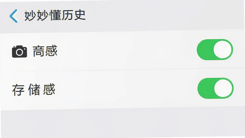 手机设置界面截图,显示“妙懂历史”APP的权限管理页面,相机和存储权限开关处于开启状态(绿色),界面简洁,重点突出权限选项
