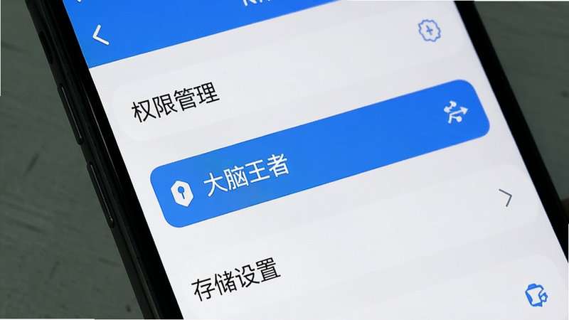 主体为手机设置界面,显示“权限管理”与“存储设置”选项,布局简洁,风格为系统原生UI,细节处有高亮选中的权限项,文字“大脑王者”可见,画质清晰,干净,无多余元素