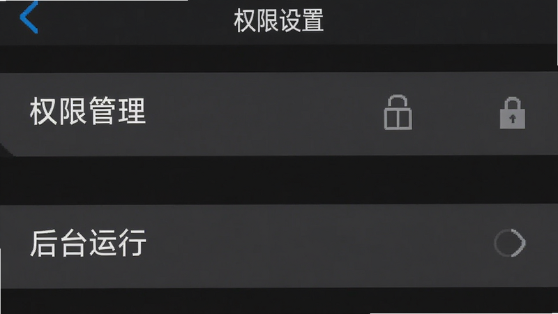 手机设置界面截图,展示“权限管理”和“后台运行”选项,界面简洁,文字标注“权限设置”,背景为深灰色,突出操作重点,高清细节,无多余图标