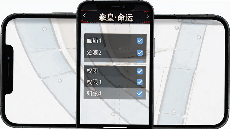主体为手机屏幕显示拳皇命运设置界面,布局清晰展示画质与权限选项,排版简洁,风格为UI设计展示,细节勾选状态清晰可见,画质清晰,干净,无多余元素,文字“拳皇命运”位于标题栏