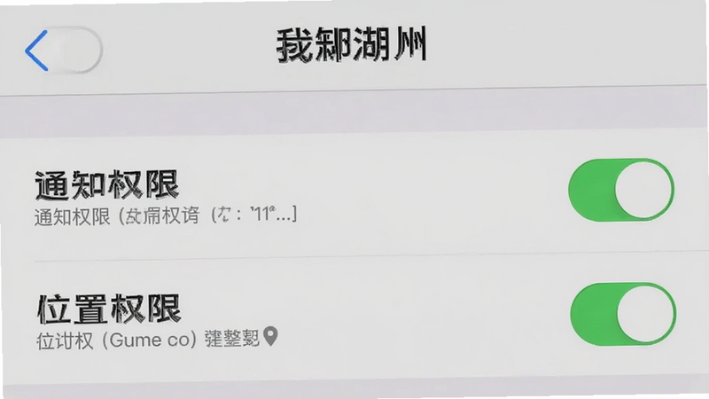 主体为手机设置界面,展示“我的湖州”APP的权限管理页面,布局为列表,突出显示“通知权限”和“位置权限”,排版简洁,风格系统原生灰,细节包含开关状态,画质清晰,干净,无多余元素