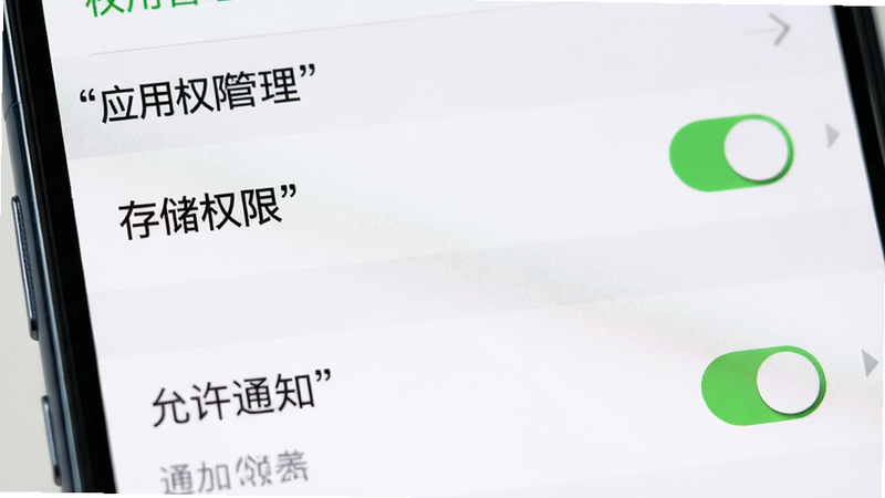 主体为手机设置界面特写,聚焦于“应用权限管理”与“通知设置”选项,布局为列表式,风格为系统原生UI,细节高亮显示“存储权限”与“允许通知”开关状态,画质清晰,干净背景,文字加引号显示“权限管理”与“领办”