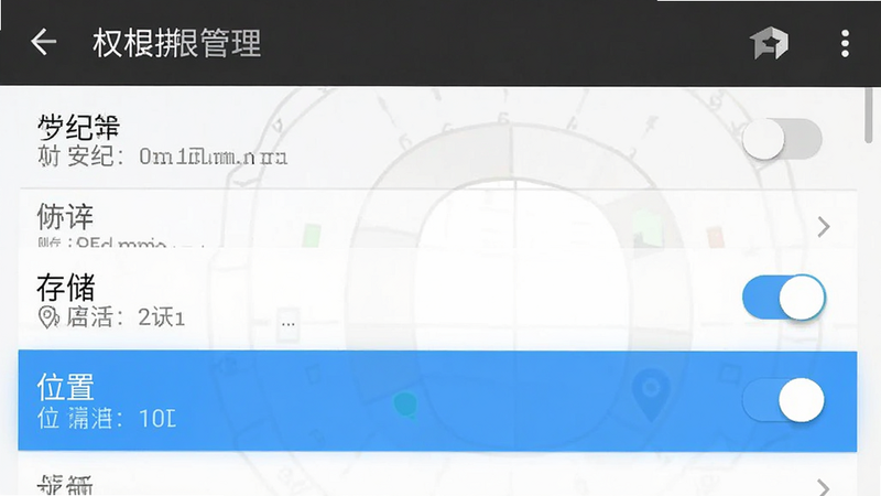 生成一张天纪排盘在安卓手机上的设置界面截图,主体为权限管理列表,布局为垂直滚动条,排版清晰,风格为系统原生UI,细节处高亮显示“存储”和“位置”权限开关,画质清晰,无水印