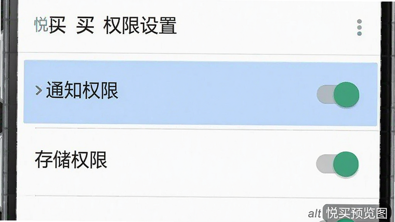 主体为安卓手机设置权限界面的模拟图,布局为竖屏列表,高亮显示“通知权限”、“存储权限”选项,风格为系统原生UI样式,细节包含开关状态图标,画质清晰,干净无干扰元素,文字显示