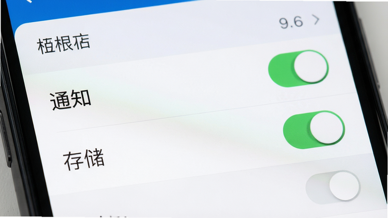 手机设置界面特写,主体为权限管理列表,高亮显示“通知”和“存储”权限开关,布局清晰,风格扁平化,细节包含开关按钮状态,画质清晰,干净无多余元素