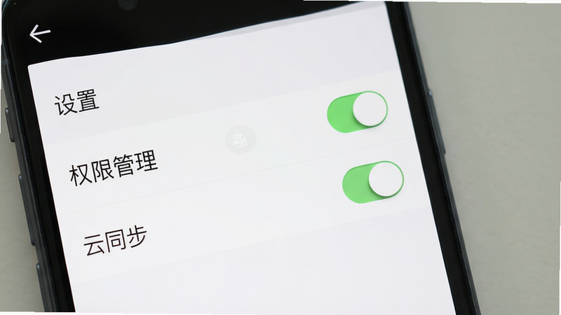 FancyLink手机端设置界面,主体为设置列表,布局为垂直排列选项,排版清晰,风格为极简主义,细节展示开关按钮状态,画质高清,干净,无多余元素,文字内容包含