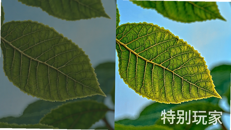 主体为左右对比图,左侧为普通画质,右侧为增强后的画质,布局左右分栏,右侧色彩更饱和,对比度更强,风格直观对比,细节处可见树叶纹理更清晰,画质高清,干净,无多余元素,文字