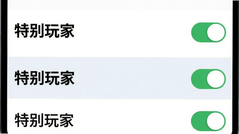 主体为手机设置界面截图,布局垂直排列,显示权限管理列表,其中“特别玩家”被高亮选中,风格扁平化UI,细节处可见开关按钮为绿色,画质清晰,干净,无多余元素,文字