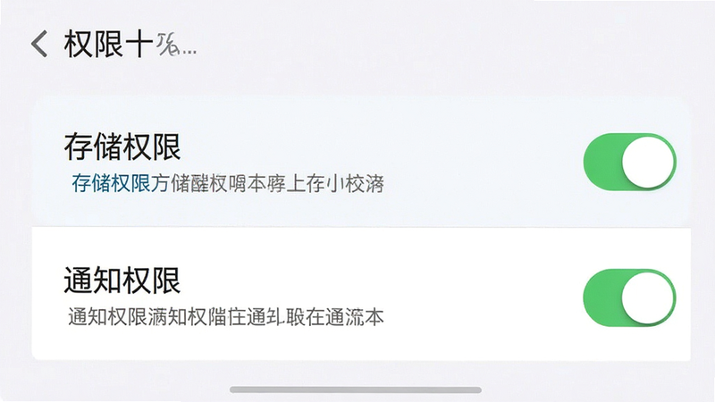 主体为手机设置界面截图,布局展示权限管理列表,高亮显示“存储权限”与“通知权限”,排版简洁,风格为系统原生UI,细节包含开关按钮与说明文字,画质高清,干净,无多余元素