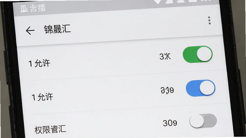 主体为安卓手机设置界面中关于“锦晟汇”APP的权限管理页面,布局为列表形式,排版整齐,风格系统原生UI,细节包含“允许”、“禁止”开关状态,画质高清,干净无多余元素,背景为白色,文字“权限设置”清晰
