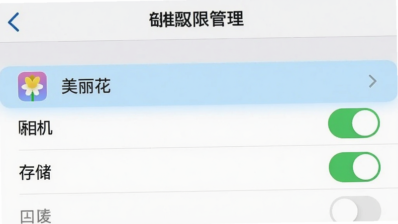 手机设置界面截图,显示“应用权限管理”页面,高亮显示“美丽花”应用,下方列出“相机”、“存储”权限开关为开启状态,其余权限为关闭状态,界面简洁,文字清晰,布局规范,画质干净,无多余元素