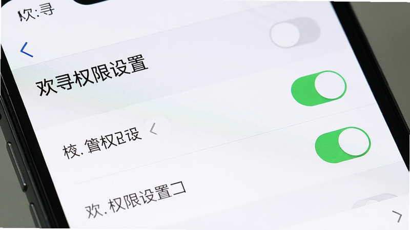 一张手机屏幕特写图,显示手机设置界面中欢寻App的权限管理页面,布局列表式,排版清晰,风格扁平化,细节显示权限开关状态,画质高清,干净,无多余元素,文字显示