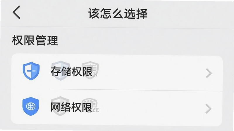 ������ôѡ��APP�����ý��棬������ʾ��Ȩ�޹������б������С��洢Ȩ�ޡ��͡�����Ȩ�ޡ�����ѡ����������ˣ�ͼ��Ϊ������״������ȫ�������������ɾ��޶���װ��