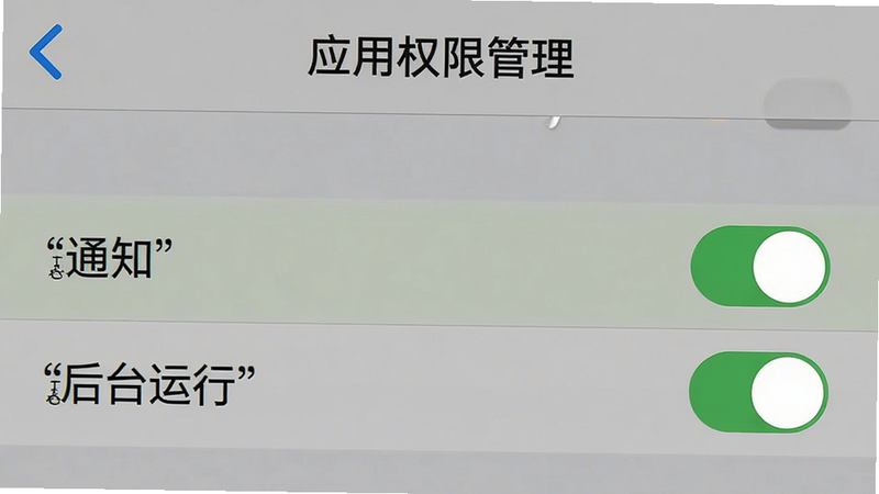 手机设置界面示意图,显示“应用权限管理”页面,高亮显示“通知”和“后台运行”开关,背景为灰色,文字清晰,风格写实,无其他干扰元素,高清