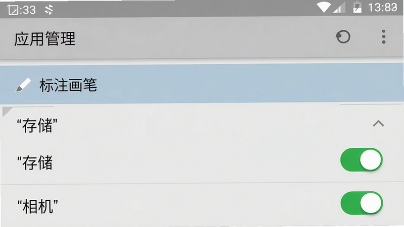 手机设置界面截图,显示“应用管理”列表,其中“标注画笔”被高亮选中。下方展开权限设置面板,“存储”和“相机”权限开关呈现绿色开启状态。界面风格为典型的安卓系统UI,简洁明了,色彩以灰白为主,细节清晰,画质高,无多余弹窗,文字“权限”加引号。