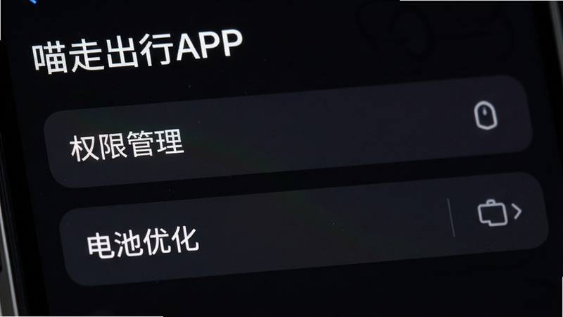 ���߳���APP���ý�����д����ʾ��Ȩ�޹������͡�����Ż���ѡ�����Ϊ��ɫģʽ�����������ɼ��������࣬ͻ���ؼ����������ϸ�ڣ�������Ԫ��