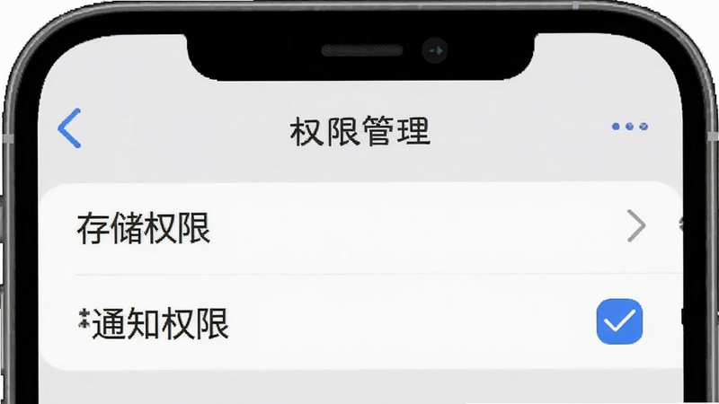 手机设置界面示意图,显示“权限管理”页面,其中“存储权限”和“通知权限”被勾选,界面风格简洁,文字清晰,背景为浅灰色,突出权限设置的重要性,无多余装饰