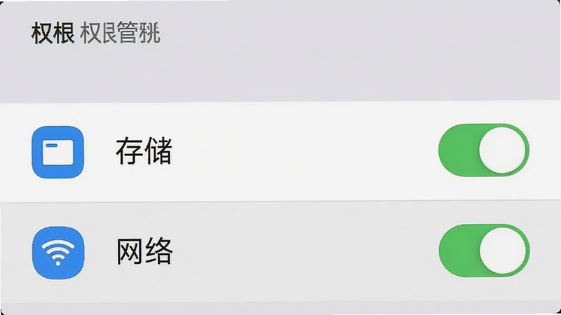 手机设置界面截图风格,显示权限管理页面,高亮显示“存储”和“网络”权限开关,UI 简洁明了,图标清晰,背景为浅灰色,无其他干扰元素,高清矢量风格