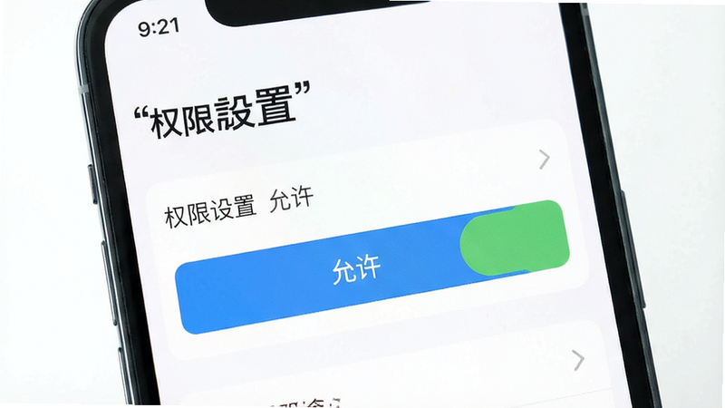 主体为手机设置界面,显示权限管理,布局简洁,排版清晰,风格为扁平化,细节显示“允许”按钮,画质高清,干净,无多余元素,文字加引号“权限设置”