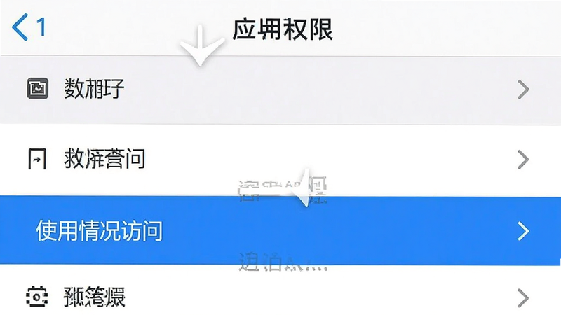 手机设置界面示意图,显示“应用权限”列表,其中“使用情况访问”选项被高亮选中,背景为白色,界面简洁,字体清晰,体现操作指引的直观性,高清