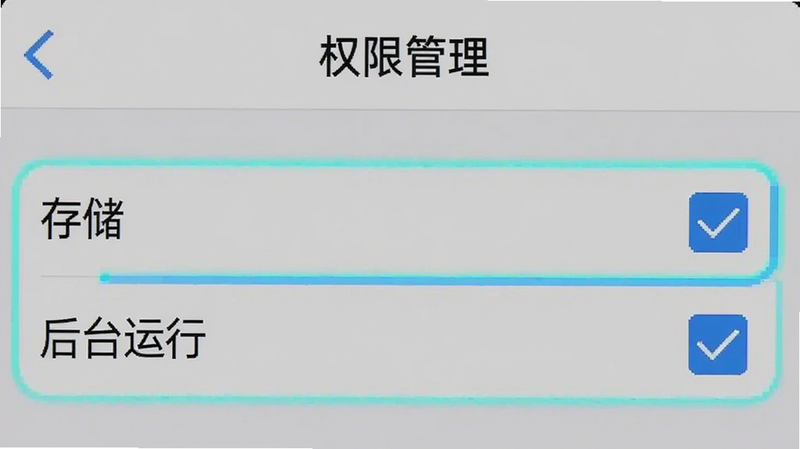 手机设置界面截图,显示“权限管理”页面,其中“存储”和“后台运行”权限被勾选,界面清晰,重点突出已勾选选项,简洁UI风格