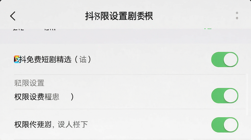 展示手机设置界面的截图,主体为“抖免费短剧精选”APP的权限设置页,布局清晰,风格实用,细节展示开关状态,画质清晰,干净,文字标注“权限设置”
