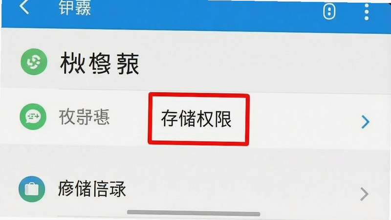 手机设置界面截图,高亮显示权限管理页面,文字