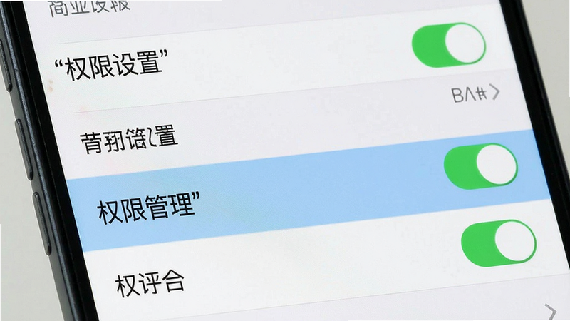 主体为手机设置界面,布局为列表形式,高亮“权限管理”选项,背景为浅色模式,风格简洁,细节包含开关按钮状态,画质清晰,干净,无多余元素,文字加引号“权限设置”