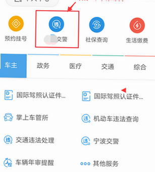 交通违章处理宝 安卓版 操作界面