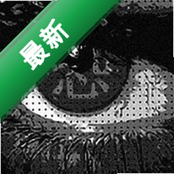 �־� TERROR1.0 �ֲ�����