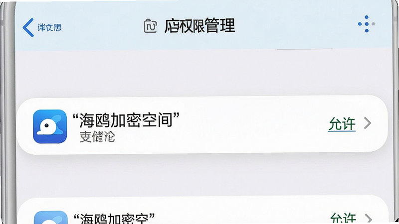 生成一张手机设置界面的模拟图,主体为“应用权限管理”列表,高亮显示“海鸥加密空间”的存储权限为“允许”,布局清晰,排版标准,风格系统原生UI,细节真实,画质高,干净,无多余元素,文字加引号“海鸥加密空间”、“允许”