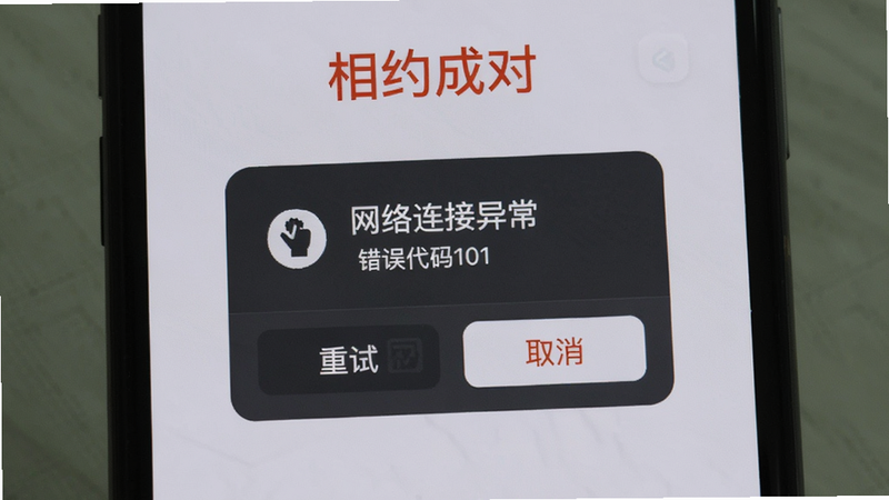 手机屏幕显示‘相约成对’错误提示界面,背景为浅灰色,中间弹出对话框显示‘网络连接异常’,下方有‘重试’与‘取消’按钮,布局居中,风格简洁警示,细节包括图标与文字,画质清晰,干净无多余元素,文字‘错误代码101’