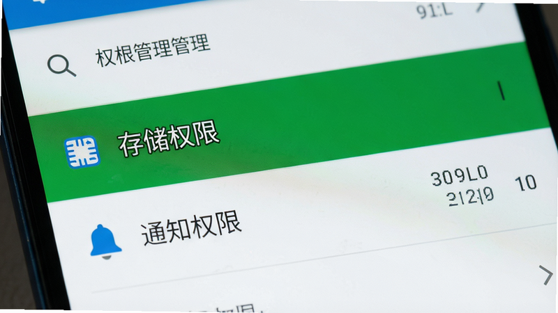 手机设置界面特写,显示权限管理列表,高亮显示“存储权限”和“通知权限”,背景为安卓系统默认风格,界面整洁,文字清晰,布局规整,风格扁平,细节准确,画质高清,无其他干扰