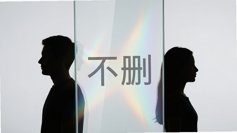 抽象概念图,两个人物剪影背对背,中间有一道透明的玻璃墙,墙上写着“不删”,玻璃墙折射出柔和的光线,象征心理屏障,背景为淡灰色,简洁干净,无多余文字,高清