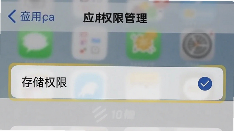 手机设置界面截图,显示“应用权限管理”页面,高亮显示“存储权限”选项,旁边有勾选标记,背景虚化,突出权限设置的重要性,清晰写实,无多余干扰元素