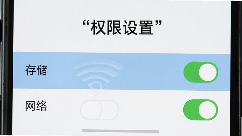 手机设置界面截图,显示权限管理列表,高亮显示“存储”和“网络”权限已开启,背景简洁,文字加引号“权限设置”,高清,无干扰元素