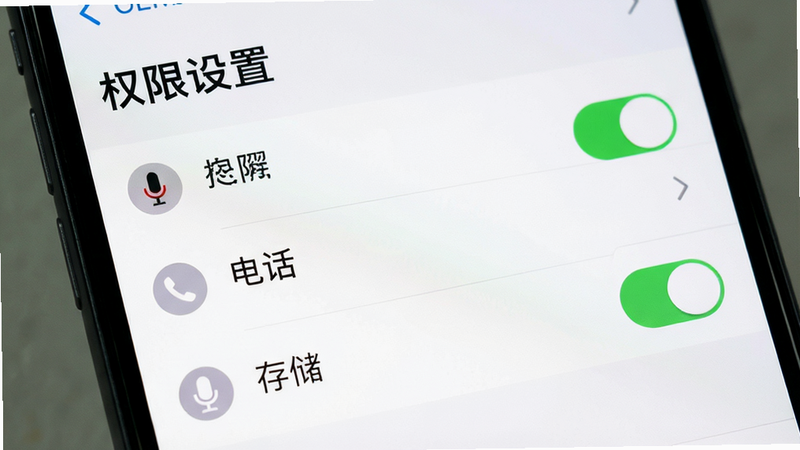 主体为手机设置界面,显示权限管理页面,高亮显示麦克风、电话、存储权限开关为开启状态,布局列表式,风格系统默认浅色,细节显示权限图标,画质清晰,干净,无多余元素,文字