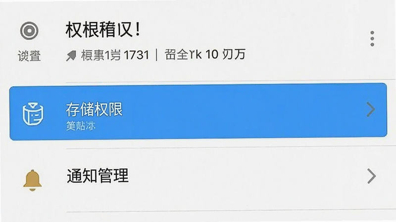 手机设置界面截图,展示安卓系统权限设置页面,高亮显示“存储权限”和“通知管理”选项,界面清晰,文字可读,风格简洁,画质高清,无其他干扰元素
