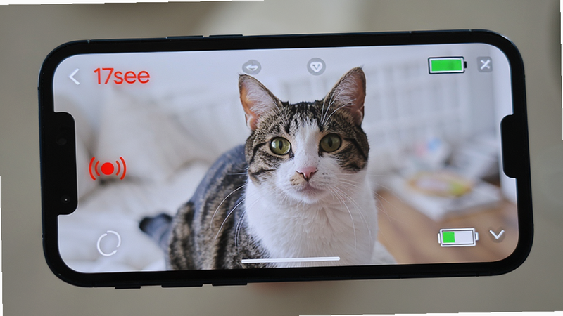 手机屏幕特写,显示17see APP内的实时监控界面,画面中是一只清晰的宠物猫,界面上有红色的录制指示灯和电池电量图标,背景虚化处理,突出屏幕内容,风格写实,高清晰度,干净无杂物