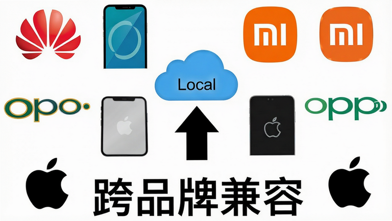 ʾ��ͼ��չʾ�����ͬƷ�Ƶ��ֻ�Logo���绪Ϊ��С�ס�OPPO��ƻ����Χ��һ��Բ����������һ�����ϵļ�ͷָ��һ��ͨ�õ�������ͼ�꣨����ͼ���·���ע��Local����������Ϊ����ɫ��ͼ��ɫ�����������ֶԳƾ��⡣���֡���Ʒ�Ƽ��ݡ�λ�ڵײ�����ɫ���塣��������񣬸���ʸ��ͼ������Ӱ����