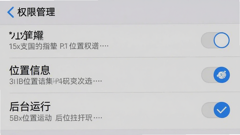 主体为手机设置界面截图,显示“权限管理”列表,其中“位置信息”和“后台运行”权限被勾选高亮,背景为浅灰色设置菜单,布局垂直排列,风格系统原生UI,细节包含开关按钮与说明文字,画质清晰,干净,无多余元素