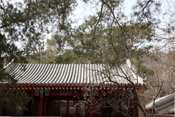 花财小院 安卓版 用户评价截图