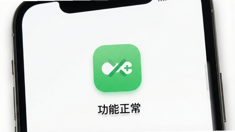 一个手机屏幕界面展示,显示“百风”应用的离线模式状态,屏幕中央有一个醒绿色的连接断开图标,但下方显示“功能正常”字样。背景为纯白色,布局简洁,排版居中,风格为极简主义,细节处有柔和的阴影,画质清晰,干净,无其他干扰元素。