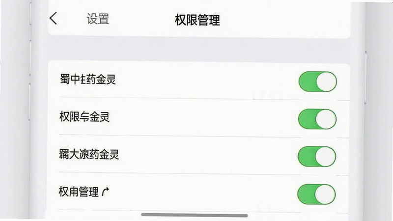 “蜀中药金灵”APP的设置界面截图,主体为权限管理列表,布局为垂直列表,排版清晰,风格简洁现代,细节展示权限开关状态,画质清晰,干净无多余图标,文字包含“设置”、“权限管理”
