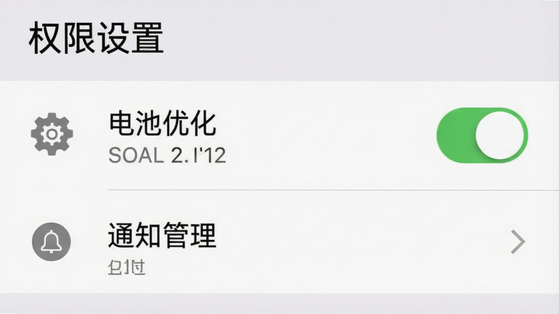 主体为手机设置界面截图,显示“电池优化”与“通知管理”选项,布局清晰列表式,排版左对齐,风格系统原生UI,细节包含开关按钮、齿轮图标、文字标签,画质清晰,干净背景,无多余元素,文字“权限设置”标题