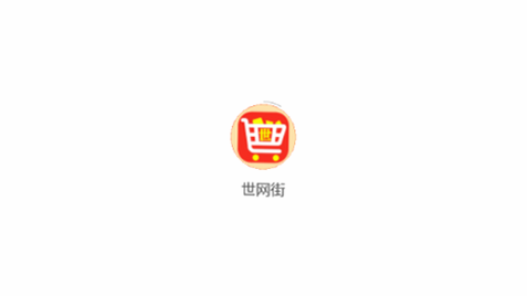 世网街 安卓版 安全 支付 界面