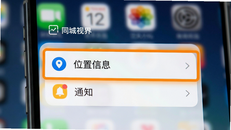 手机屏幕截图,显示“同城视界”APP的权限设置页面,重点高亮显示“位置信息”和“通知”选项,界面整洁,图标清晰,背景模糊处理,突出设置项的重要性,高清UI设计图,无杂乱水印