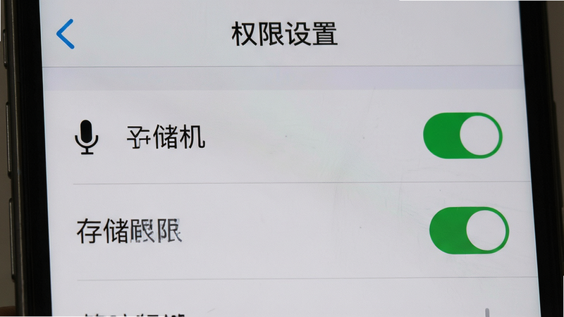主体为手机设置权限界面,布局为列表形式,排版清晰直观,风格为系统默认灰色调,细节显示麦克风与存储权限的开启状态,画质真实,干净无水印,文字显示